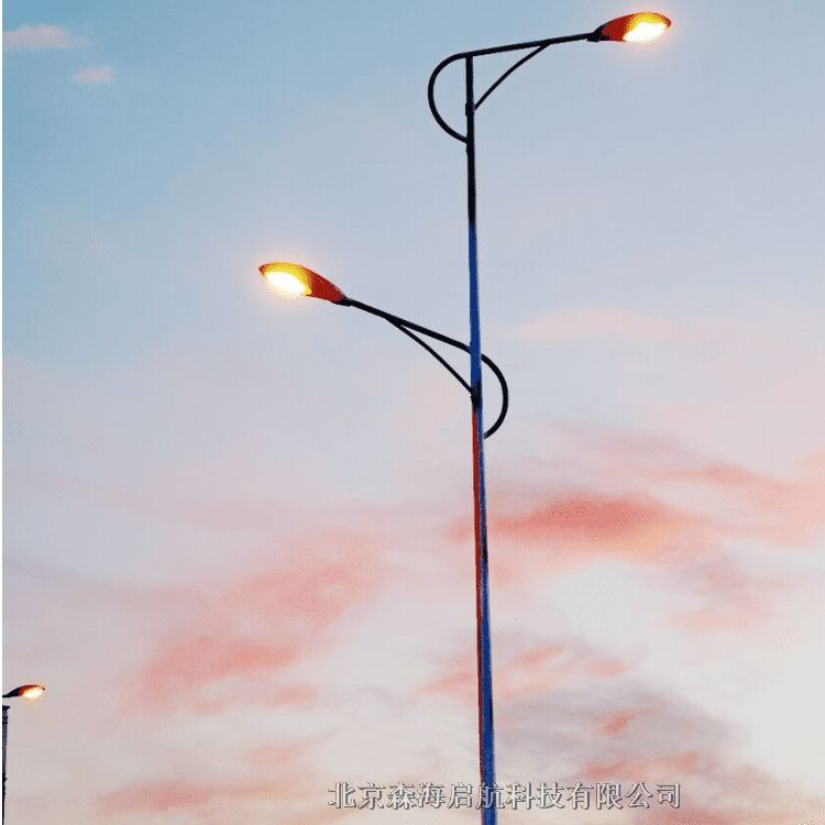 陜西高光亮LED路燈工程案例廠家直營 接受各種定制生產(chǎn)室外景觀燈具廠