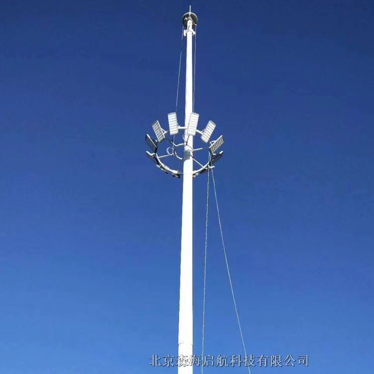 LED路燈工廠直銷 12米市政路燈工程安裝案例